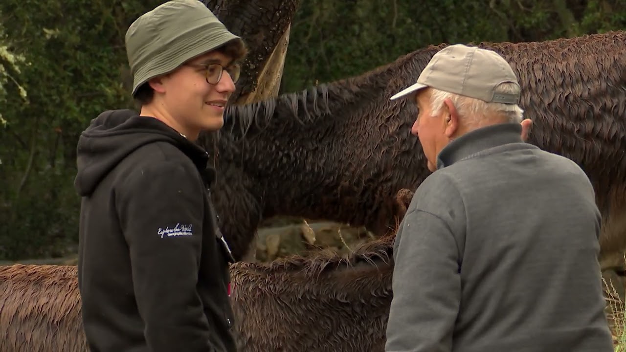 UEP! COM ANAM? [655] - RETORN A S’HERETAT CAPDEPERA, PROJECTE PASTURE PLUS I MILLOR PA AMB OLI 2024