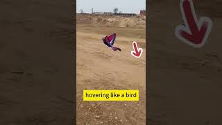 4 Toy41 Bionic Bird With Flapping Wings To Fly