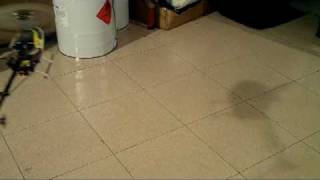 Allenamento trex250.mpeg