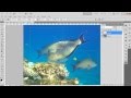 How to Change Image Background in Photoshop