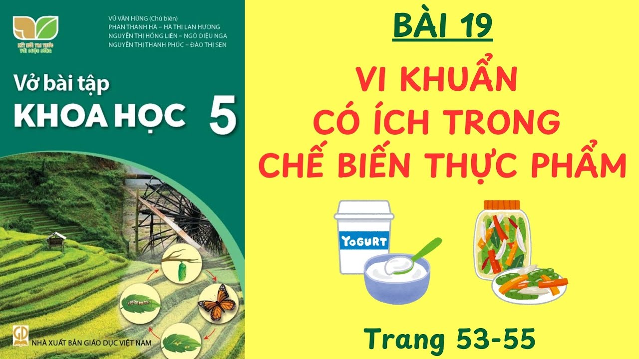 VBT KHOA 5 BÀI 19: VI KHUẨN CÓ ÍCH TRONG CHẾ BIẾN THỰC PHẨM, SÁCH KẾT NỐI TRANG 53-55 #vikhuancoich - youtube