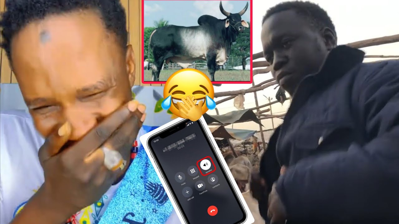 🤣 Appel thioune boutique Ak Norou Saw wouy Sama limou nexx 🤣🤣🤣