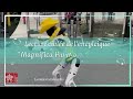 Lecture ciblée de l'encylcique Magnifica Humanitas du Pape Léon XIV en Malgache