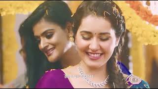 Railin Oligal💎🤍| Blue star movie | song: Pradeep Kumar and Shakthisree Gopalan music:Govind Vasantha