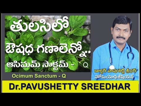 తులసిలో ఔషద గుణాలు ఎన్నో || Ocimum sanctum-Q || Homeo