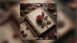 Halik Çalgın - Defterinin Arasındaki Gül