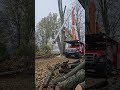 large removal at Golden Lake even in the rain.