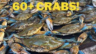 Catching GIANT Blue Crab (Over 60 crabs caught!)