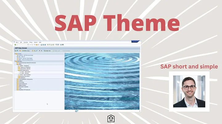 Change SAP Theme | Look and feel of SAP GUI