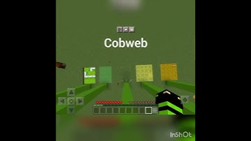 WHICH BLOCK WILL SAVE THE FALL DAMAGE