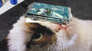 2000 Upper Deck Legends Football Pack Opening