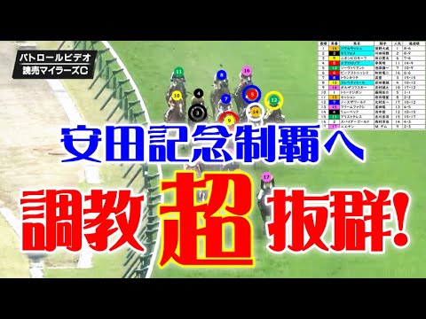 マイラーズC2024をパトロールビデオで振り返ったら、安田記念2024が見えてきた！