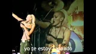 No doubt simple kind of life live subtitulado español