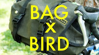 Better Than a Bikepacking Bag? (Bags by Bird Goldback Custom)