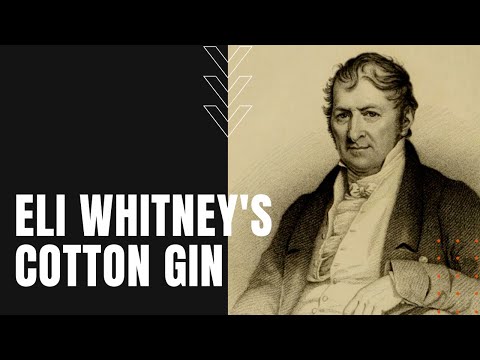 Vidéo: Où Eli Whitney a-t-il inventé le gin de coton ?