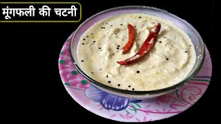 मगफल क चटन बनन क वध Peanut Chutney Recipe In Hindi 