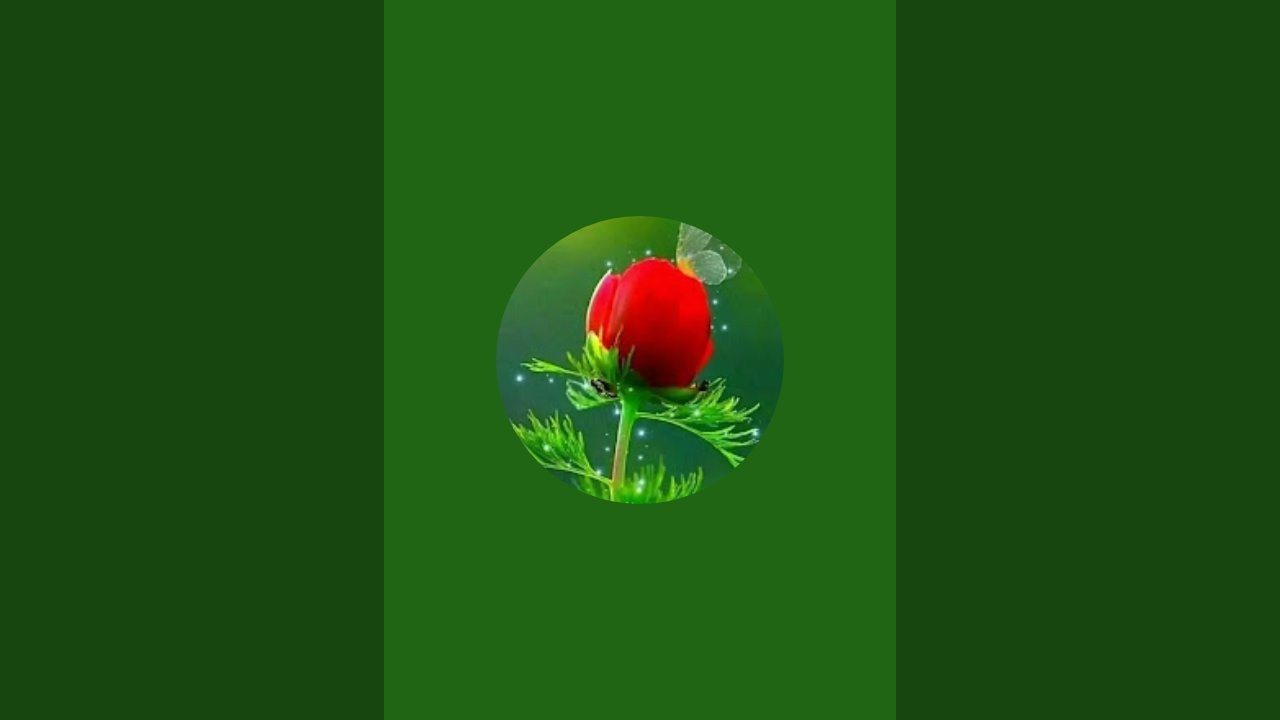 #Arjun Raj 8081 # arjunraj8081 # ARJUN RAJ 8081#