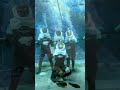 SeaVenture Thrill with the Homies at SeaWorld Yas Island, Abu Dhabi