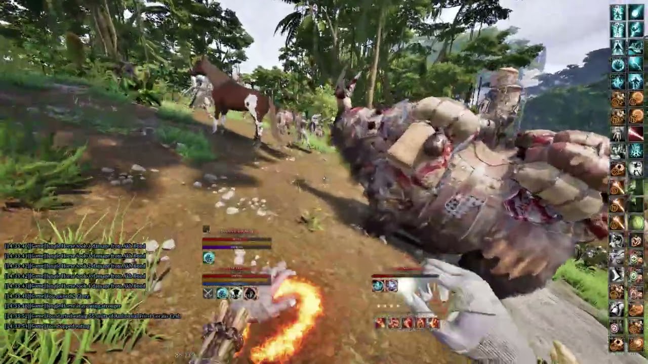 Mortal Online 2 Harbringer Siege Fight Mage PoV