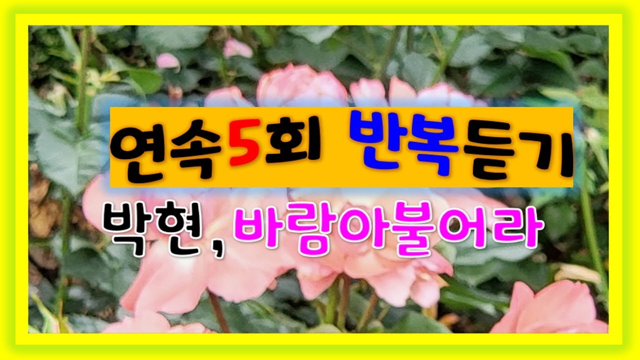 박현 - 바람아 불어라 5회연속 듣기✨