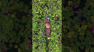 Most Beautiful Places On Earth