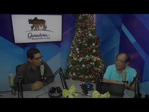 Ganadería & Desarrollo al día