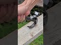 This is how an expert can nail and remove a nail using a hammer#trending