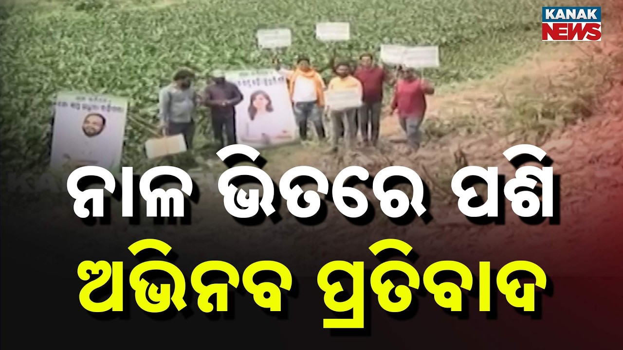 Unique Protest in Cuttack! People Enter Petanala Drain, Target MLA Sofia Firdous Over Drain Issue