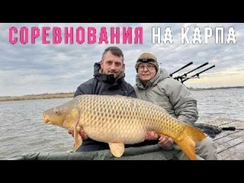 Международный турнир "кубок Носорога". Как ловить карпа в прессинге. Рыбалка на карпа. Карпфишинг