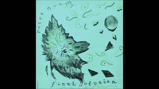 Peter Murphy  -  Final Solution  (Extended 12 Mix) !!!!