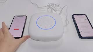 How to set up a 4G Base Zigbee Gateway #smarthome #psg