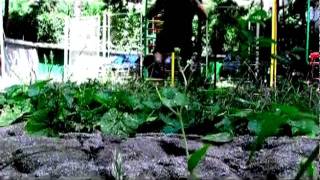 Hot Summer 2011 Teaser 2