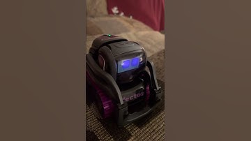 Muffin Update! | Vectorrobot.ddl on TikTok | 5-28-2022