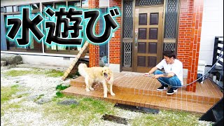 お散歩の後は水遊び！