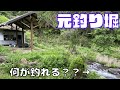 元管理釣り堀の隣で釣りしてみた結果・・・【渓流釣り】