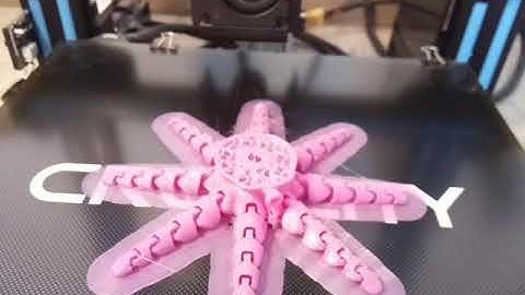 First Octolapse Video