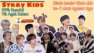 Stray Kids Member nya kalem semua yah Bund - STRAY KIDS funny moment sub Indo