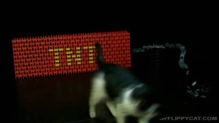 TNT GOES BOOM!