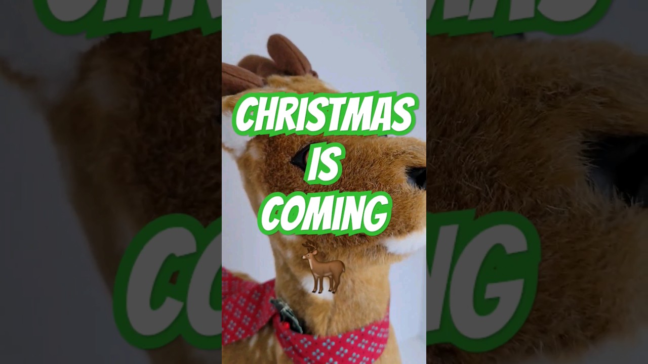 VTG Christmas Decor is SELLING!😛 