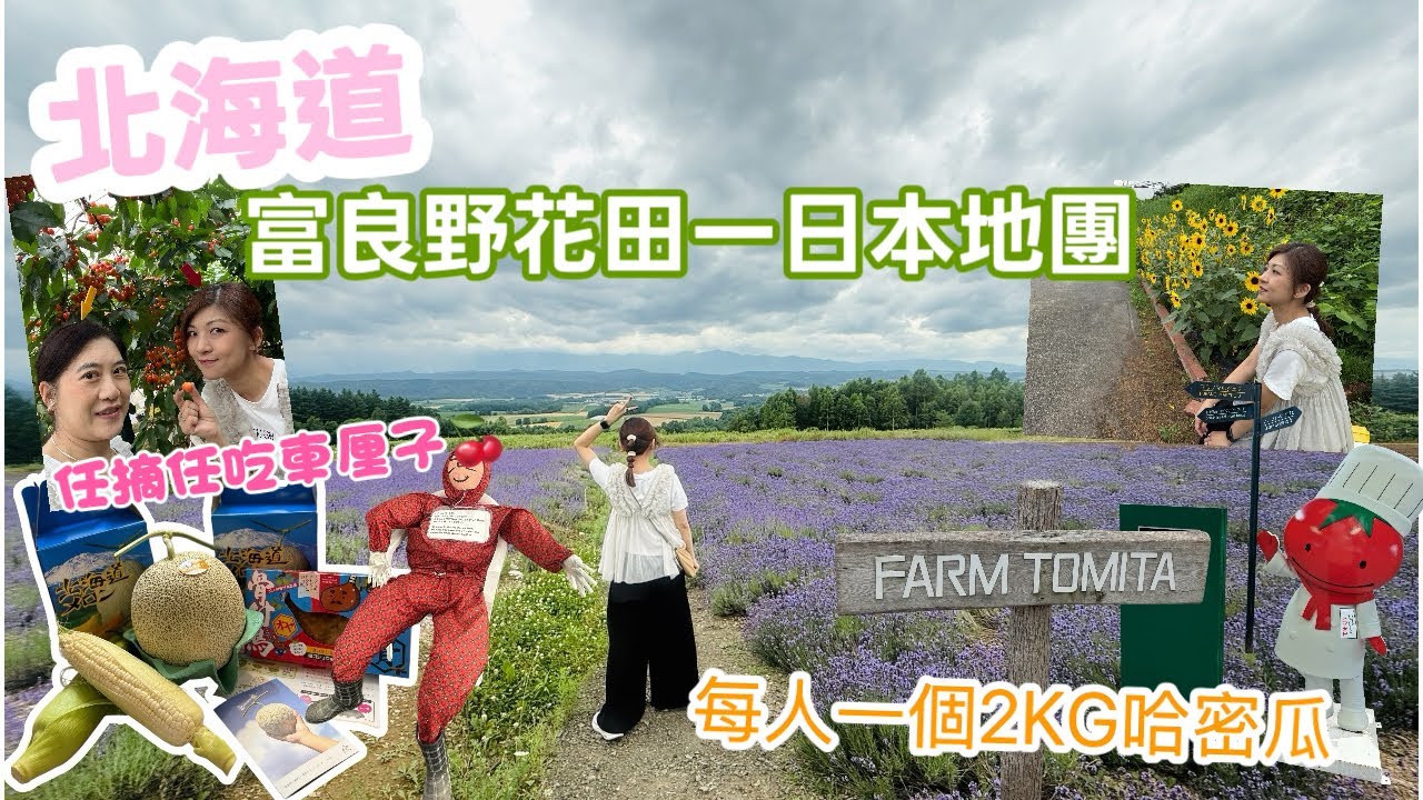 [北海道 🇯🇵]富良野花田櫻桃採摘無限量暢吃本地團一天遊｜富田農場薰衣草田遊覽｜每人一個2KG哈密瓜🍈1支白粟米🌽