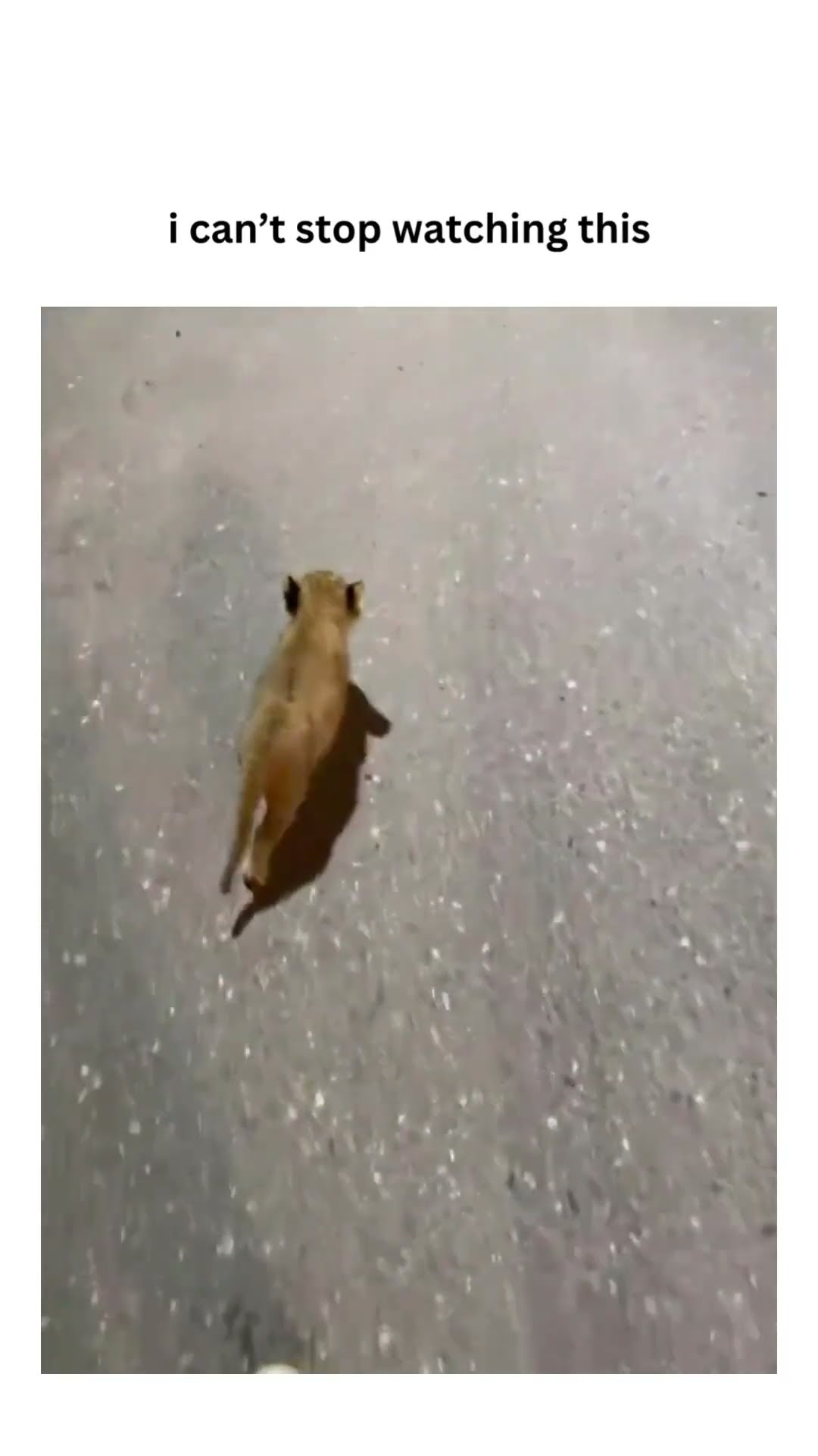 Bro walking to conquer a world right quick