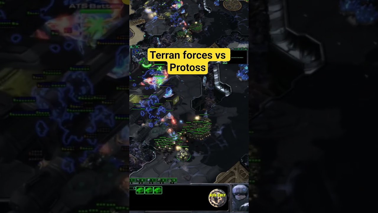 Terran forces vs Protoss 