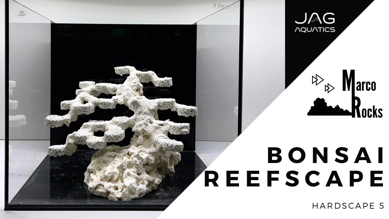 Reef Hardscape 5 Bonsai Tree Using Marco Rock And Aquaforest Frag