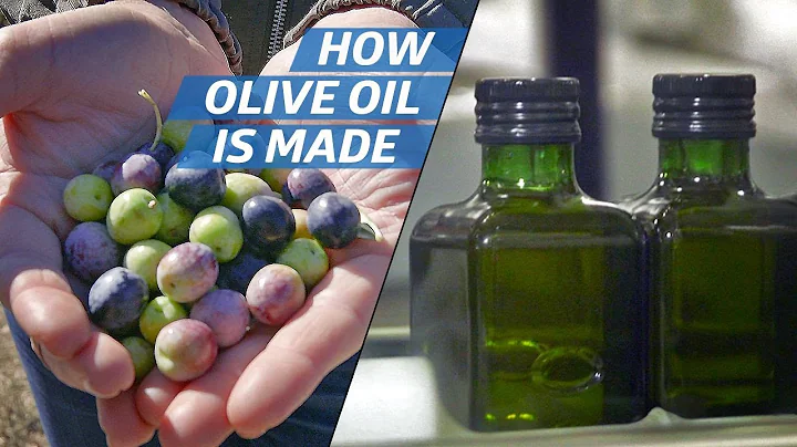 How Olive Oil Is Farmed and Processed at the Count...