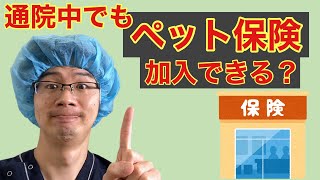 教えてペット保険！今通院中の犬猫さんでもペット保険に加入できるの？の質問に獣医師がお答えします(^^)b