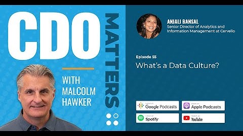 CDO Matters Ep. 55 | What’s a Data Culture?