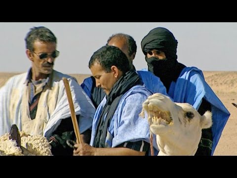 Documentary backdrop image for Camel (2016)