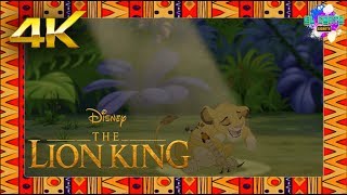 The Lion King | Song: Hakuna Matata Part II | Timon And Pumba Invite Insects To Simba