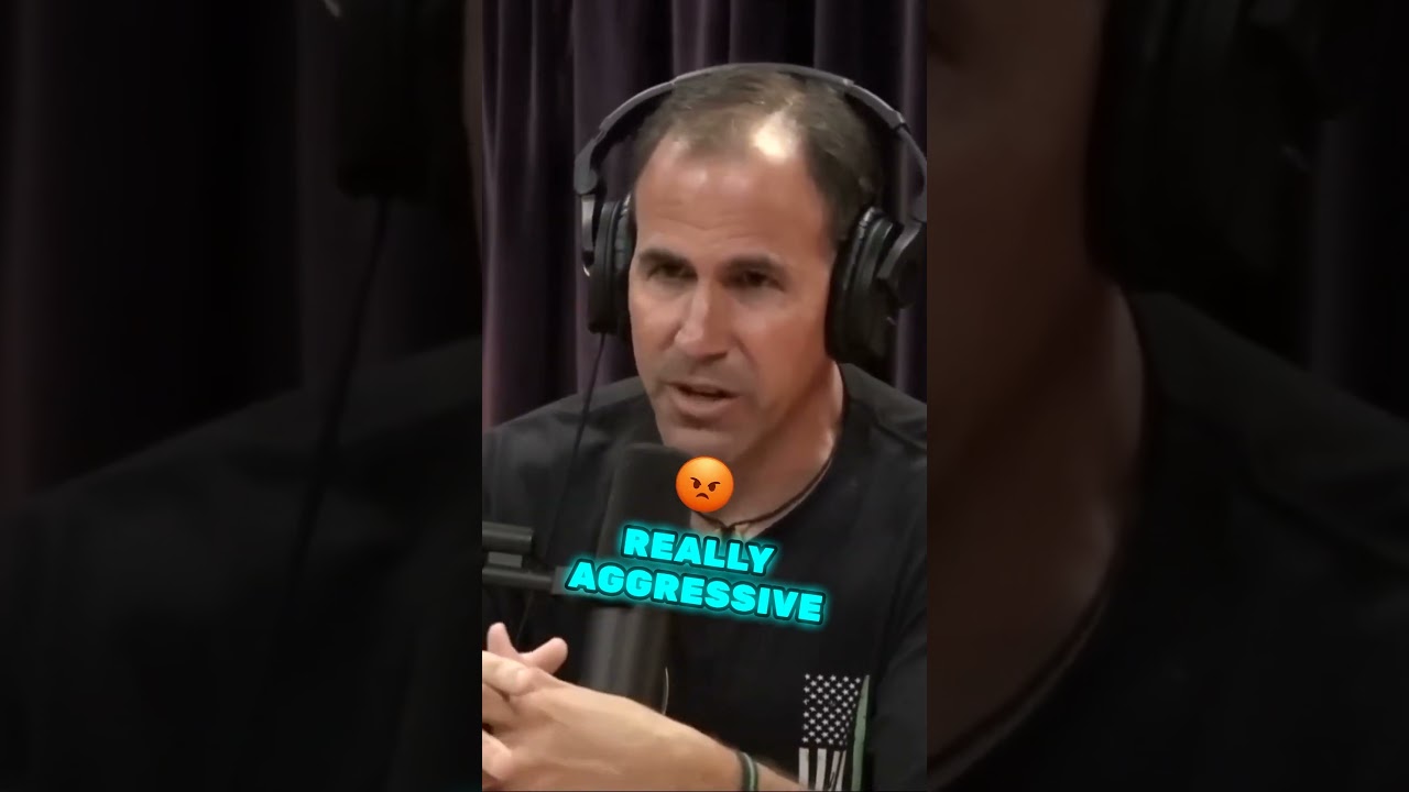 The Great Belgium Malinois Stories