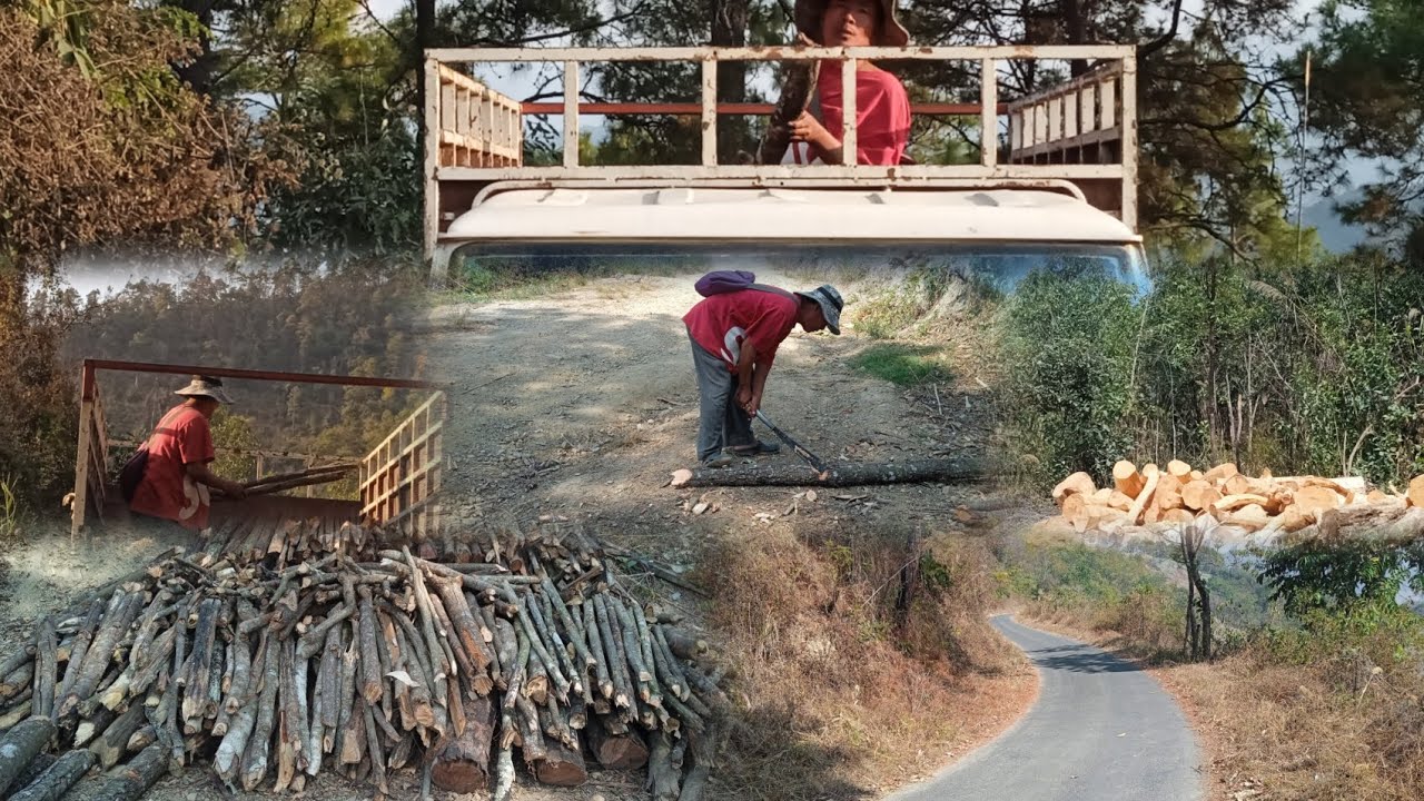 Collecting firewood for use and many more adventure @aziba vlog